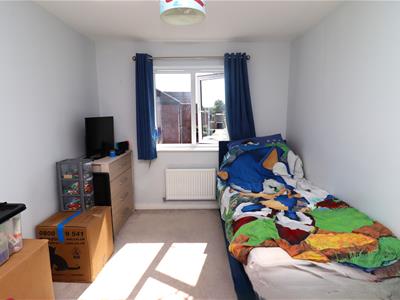 Picture 13